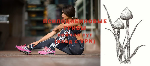 экстази Алексин