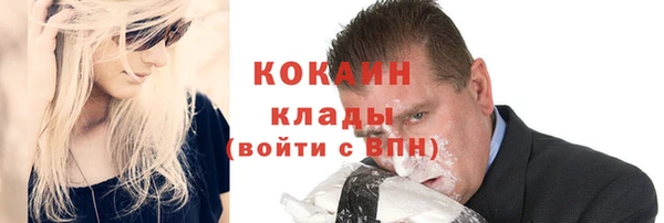 индика Осинники