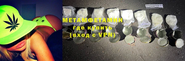 индика Осинники