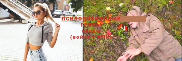 ALPHA PVP Алзамай
